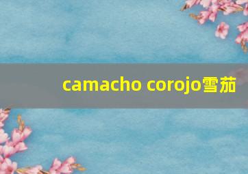 camacho corojo雪茄